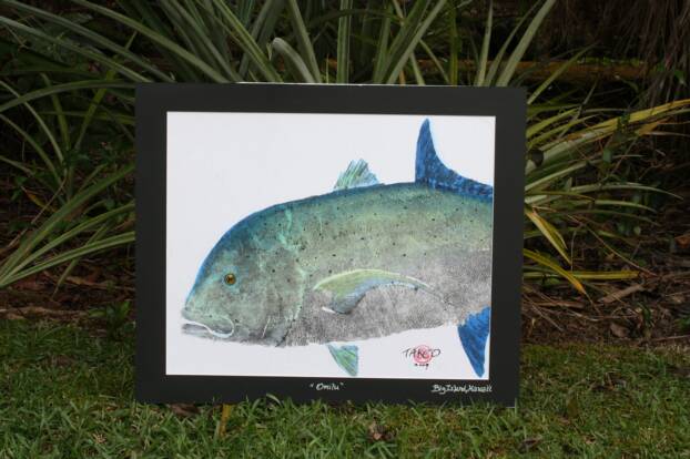 Omilu (Bluefin Trevally)