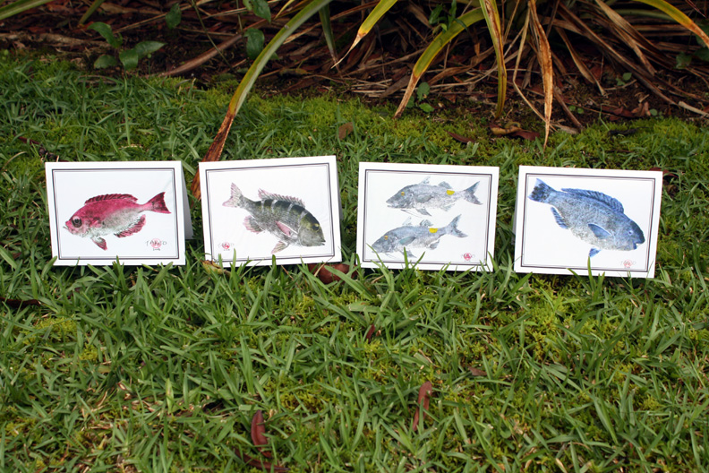 Mix Pack Gyotaku Cards