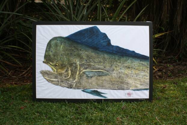 54 lb. Mahi Mahi