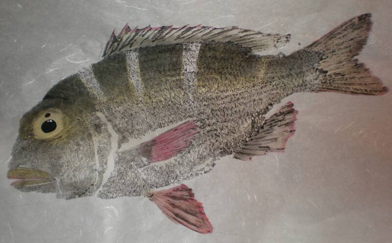 rice paper, unryu, artist watercolor, Hawaiian fish. 