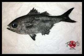Aholehole gyotaku