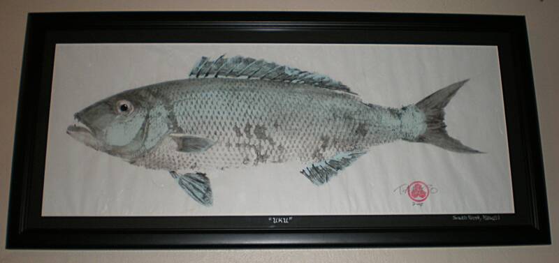 jobfish, uku, framed artwork, Hawaii fish. 
